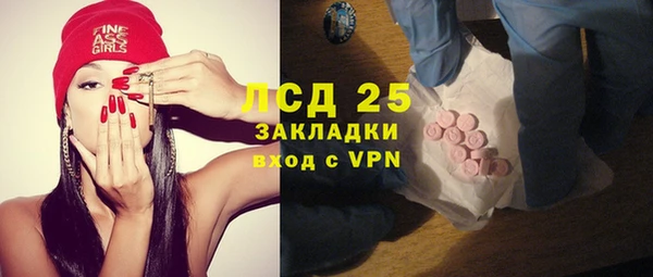 PSILOCYBIN Аркадак