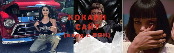 PSILOCYBIN Аркадак