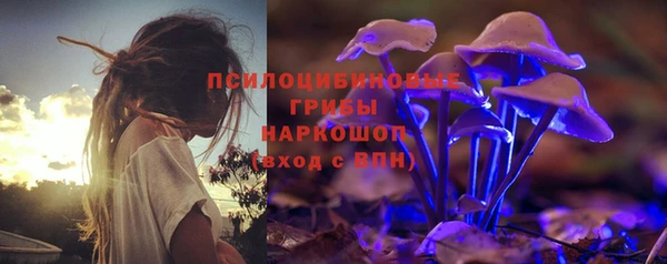 PSILOCYBIN Аркадак
