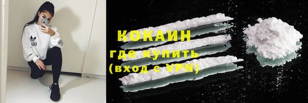 PSILOCYBIN Аркадак