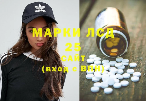 PSILOCYBIN Аркадак