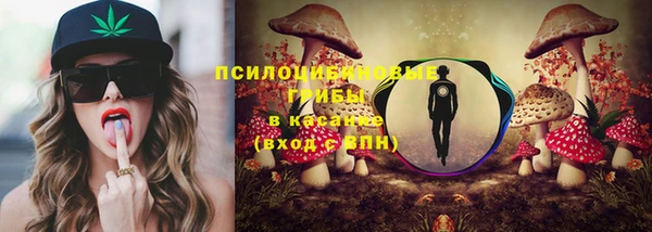 PSILOCYBIN Аркадак